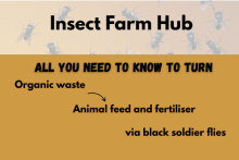 "Insect Farm Hub – all you need to know to turn organic waste into animal feed and fertiliser via black soldier flies"