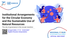 Institutional Arrangements for the Circular Economy and the Sustainable Use of Natural Resources