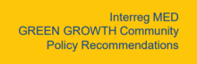 Green Growth Policy Recommendations