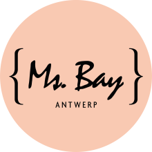 Ms Bay logo