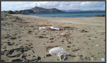 New tool to help companies fight plastic pollution