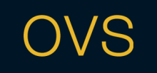 OVS logo