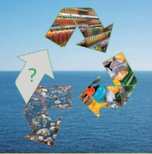 Packaging plastics in the circular economy