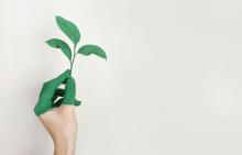 An image of a hand holding a green painted leaf
