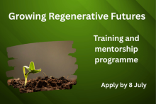 Growing Regenerative Futures. Training and mentorship programme. Apply by 8 July