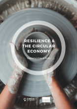 Resilience and the circular economy