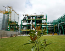 A refinery withgrass and a small olive in front