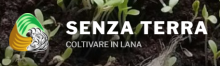 Senza Terra logo