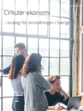 Circular Economy in Sweden