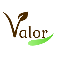 Valor logo