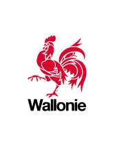 Wallonia logo
